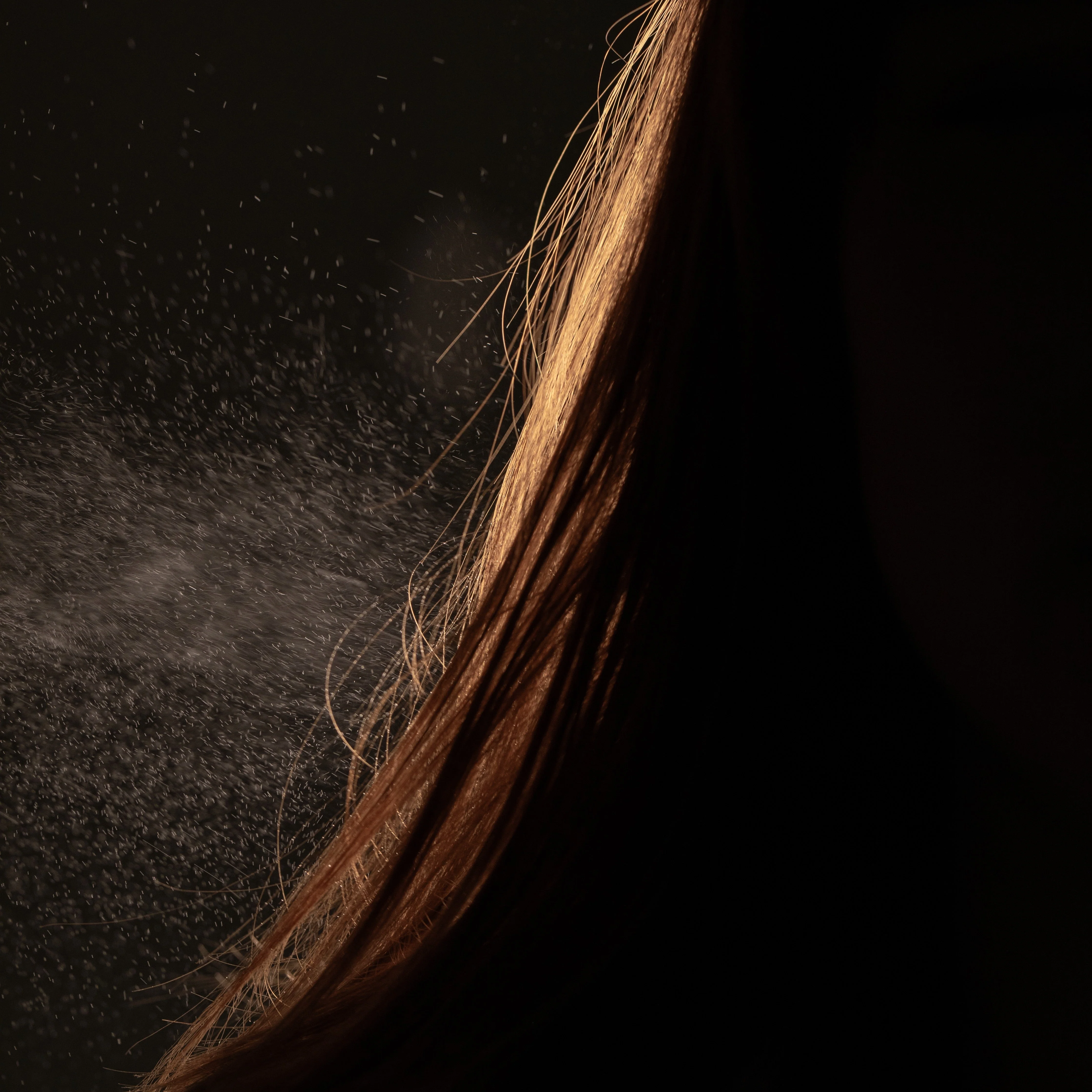 molding mist - Image 5