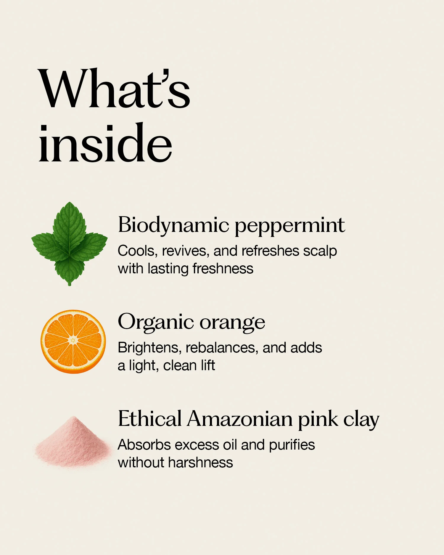 plant & mineral refresh dry shampoo - Image 3