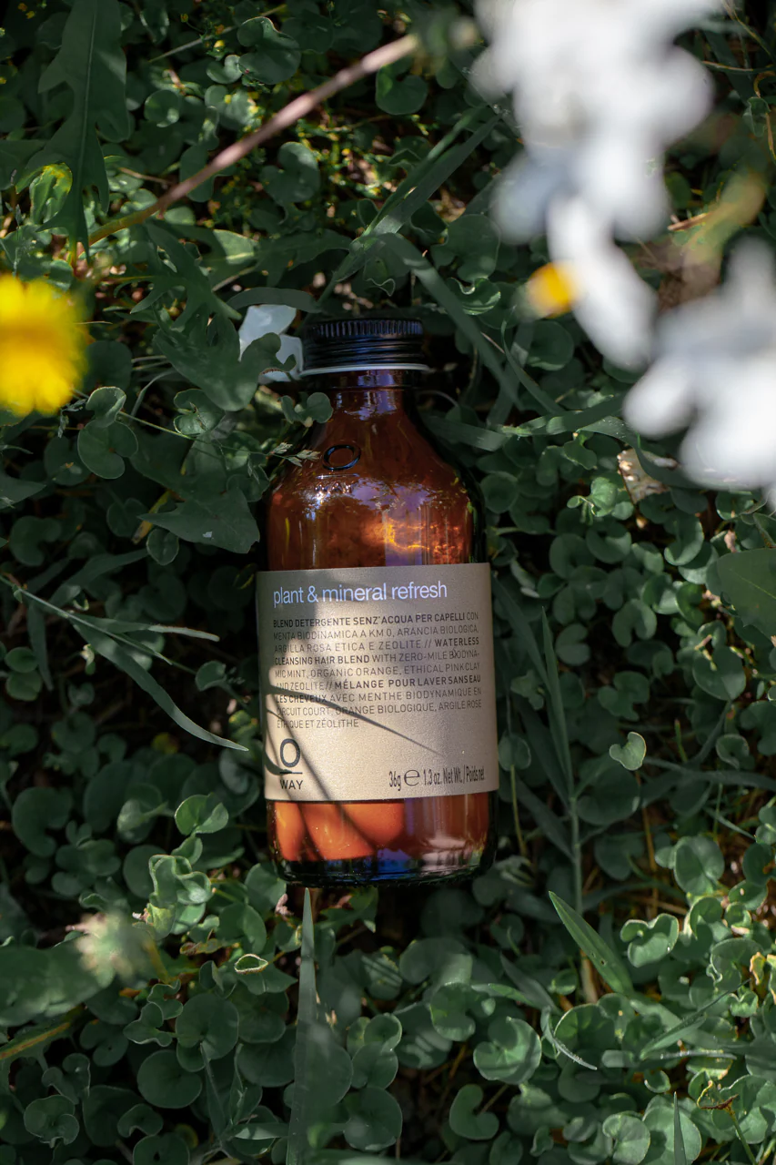 plant & mineral refresh dry shampoo - Image 6