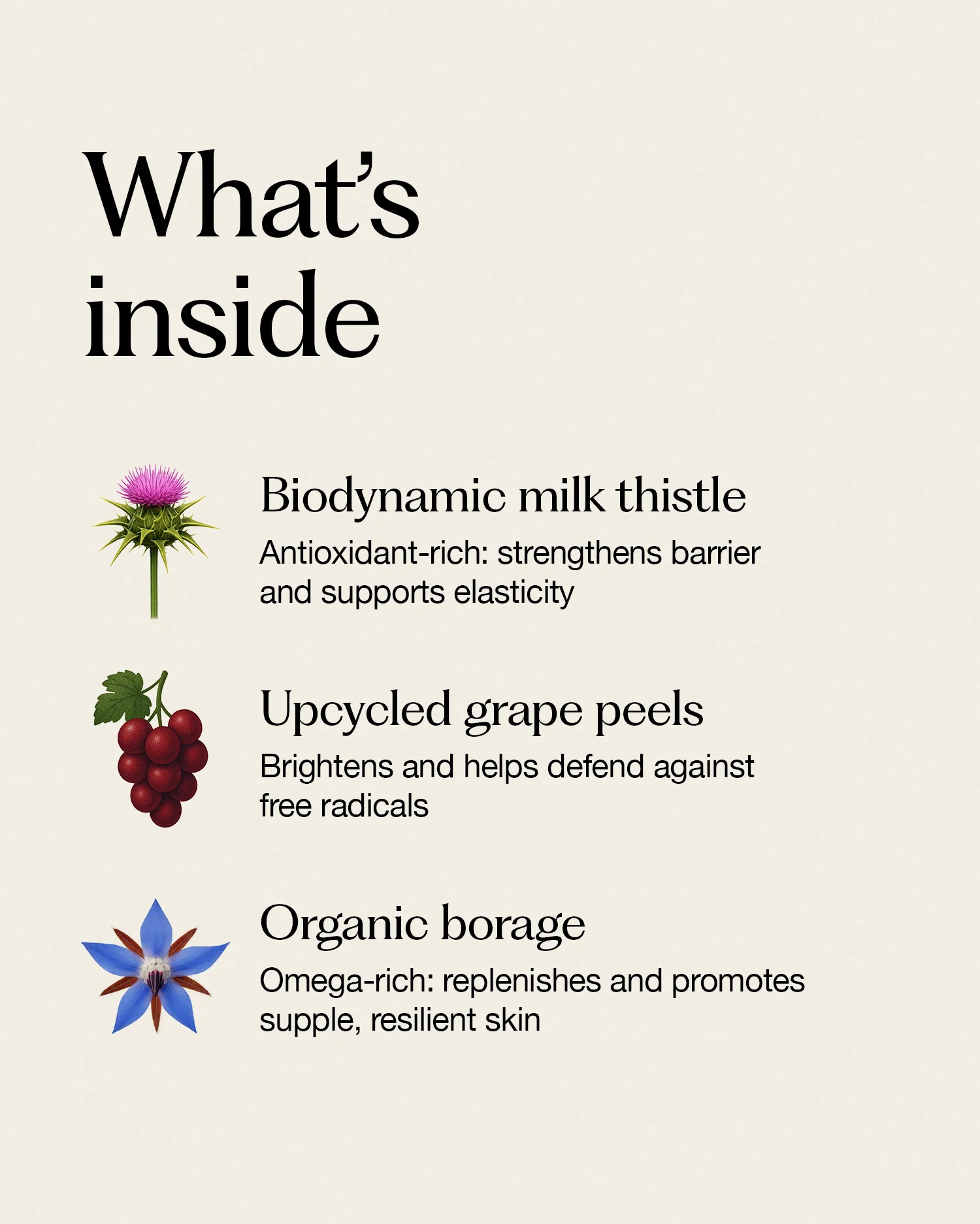 radiance face cream - Image 3